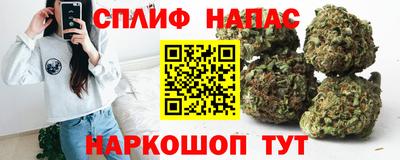 мяу мяу мука Кандалакша