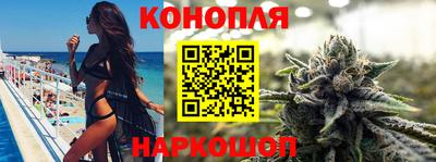 мяу мяу мука Кандалакша