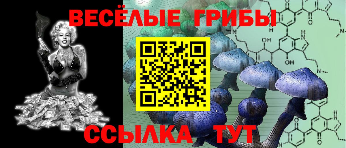 Красный Сулин  Галлюциногенные грибы ЛСД  сколько стоит  Вход с VPN 